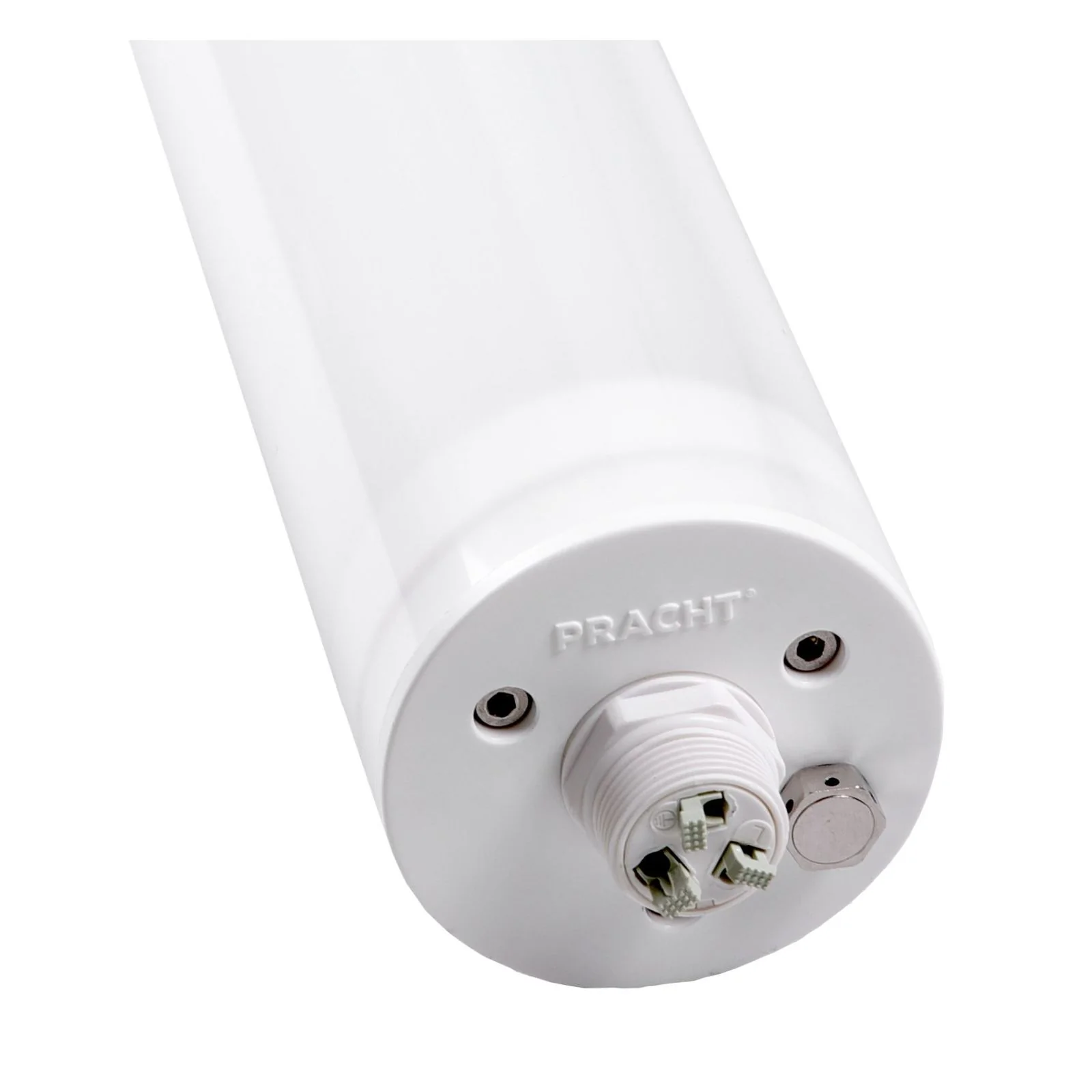 PRACHT TUBIS BL LED-Rohrleuchte 1,3m für Decken-/ Wandleuchte mit 1x24W, 2800lm 20 Stk. - Image 3